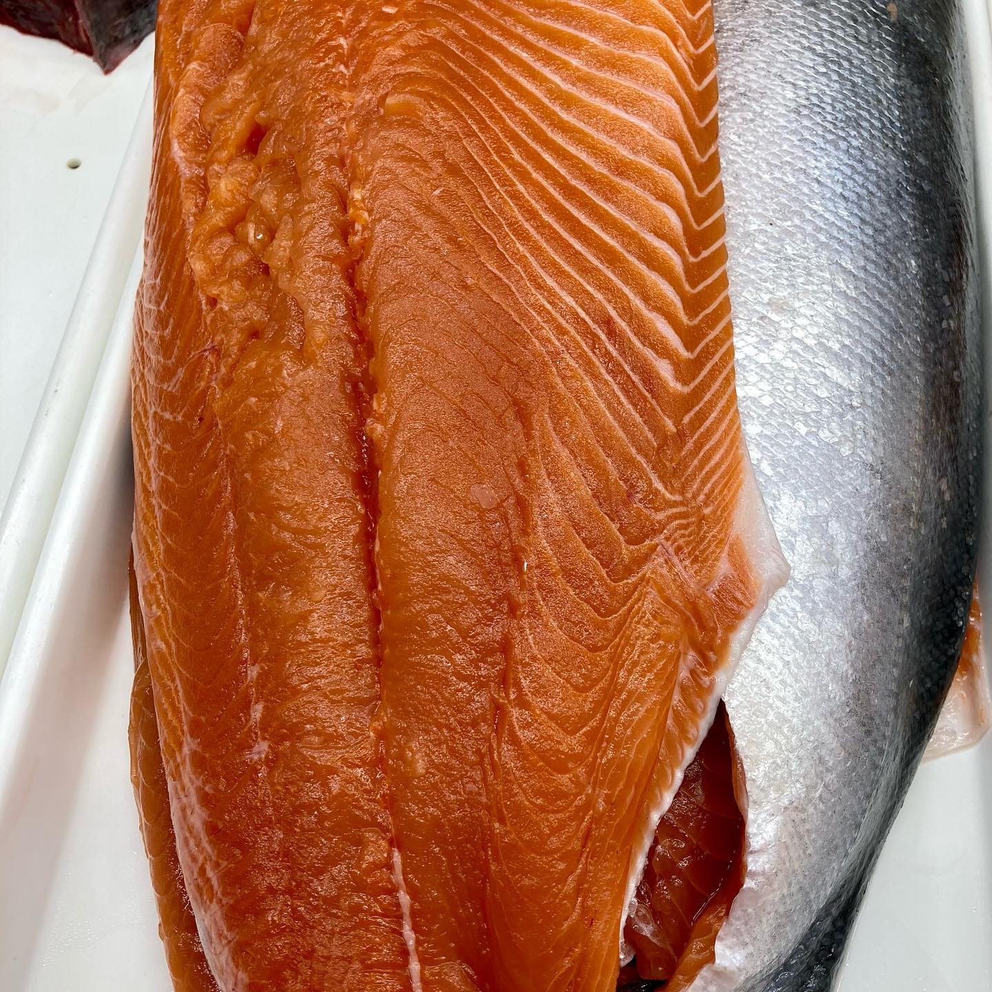 Best prices of the season on Summertime Favorites happening now! Just in:
Wild King Salmon $24.99lb
Local Bluefish $10.99lb
Local Striped Bass $23.99lb