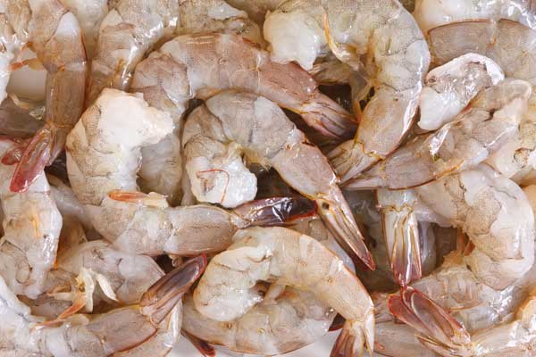 fresh-shrimp