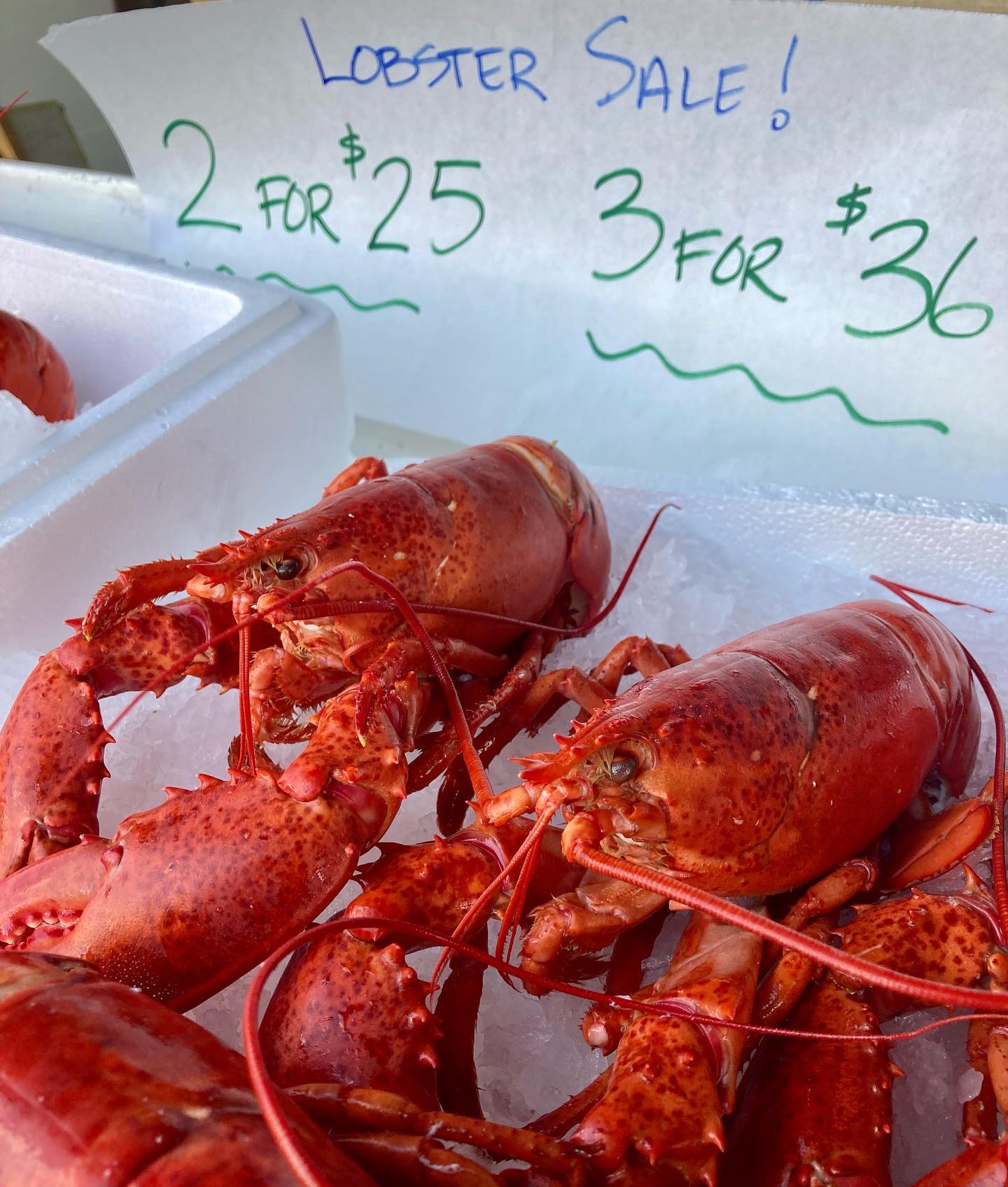 Our Saturday Lobster SALE is on! All cooked and ready to eat. 2 for  or 3 for . While they last…