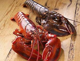 🦞 LOBSTER SALE! 🦞 All sizes in our tank just $10.99lb. Sale runs through Saturday 7/3  Call ahead to reserve yours