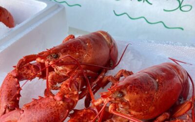 Our Saturday Lobster SALE is on! All cooked and ready to eat. 2 for $25 or 3 for $36. While they last…