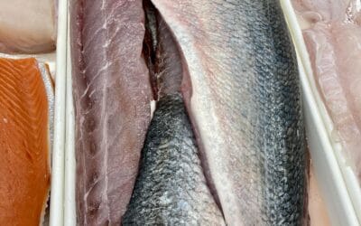 Local Blues are in! First of the season Fresh Bluefish from RI just arrived. Enjoy some of this summertime favorite while it’s here.