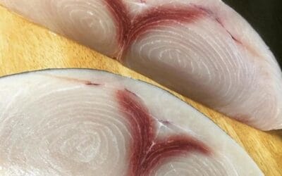 Swordfish Special  It’s peak season for locally caught Swordfish. Enjoy the best fish of the season at the best price: $13.99lb this week (thru Sat 9/30)